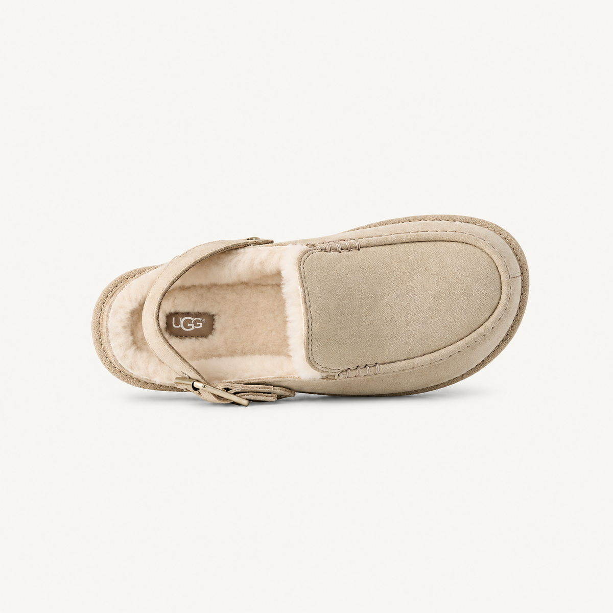 Sabot Goldenstar Evelina